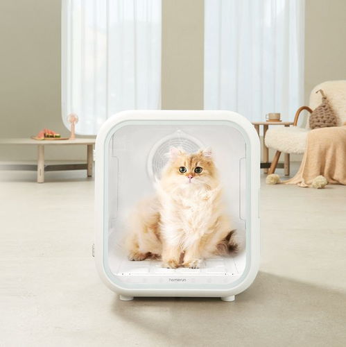 携手艺术家联名跨界，霍曼以智能科技重塑宠物用品新高度