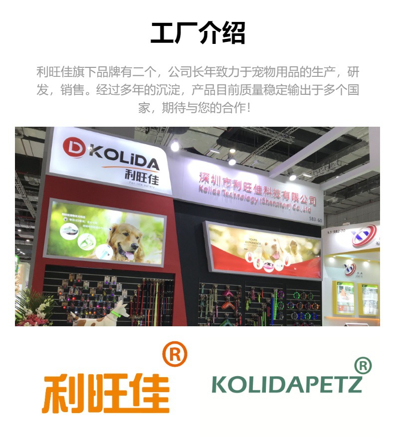 云端漫步，色彩相伴 亚马逊新款宠物颈圈牵引绳套装如何以马卡龙色创意征服市场