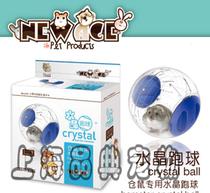 玩具跑球 宠物用品市场中的明星产品与销售策略