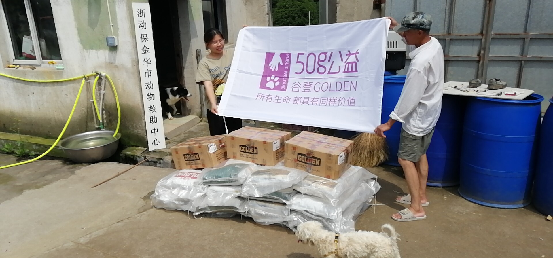 携手公益，温暖同行——金华锦安宠物用品携谷登50g助力动物救助