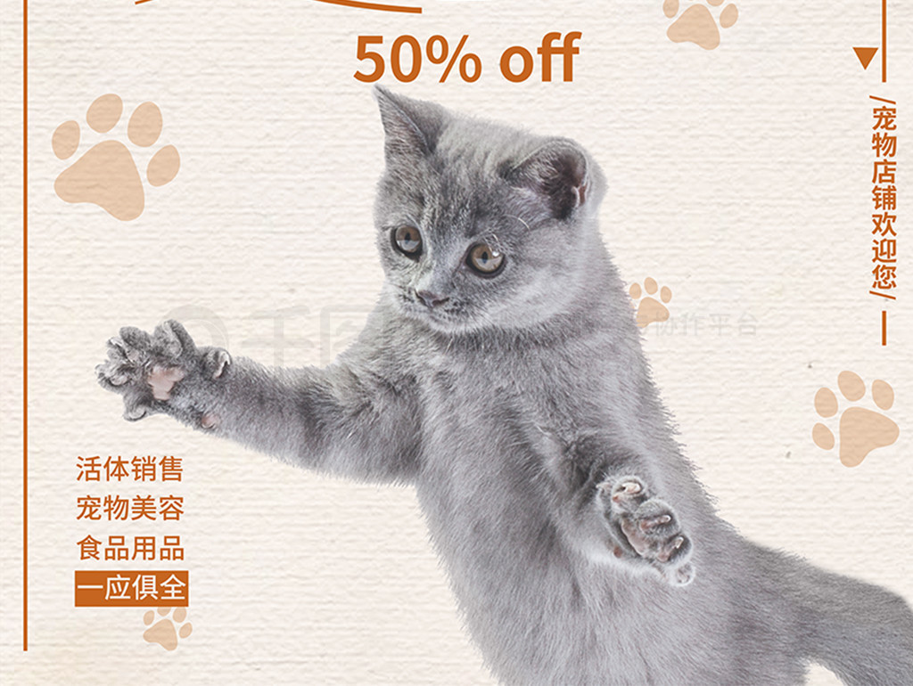 萌宠倾心 棕色可爱风宠物店促销海报设计指南