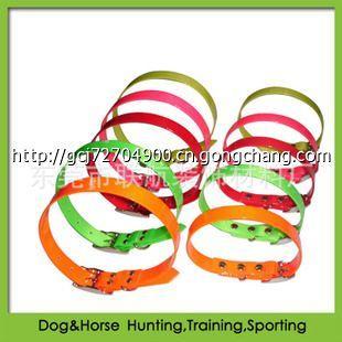 高档时尚宠物用品的市场机遇与销售策略