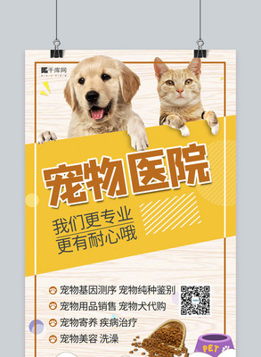 春分时节，与爱宠共迎生机——卡通剪纸风春分节气宠物用品海报