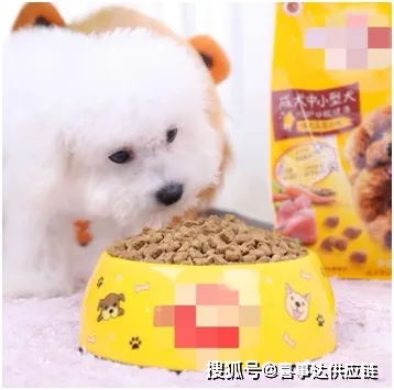 美国宠物用品销量攀升 趋势分析与产品分类指南