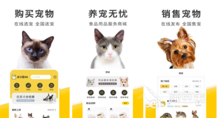 2022年市面上好用的买猫软件及宠物用品销售平台推荐